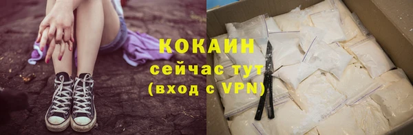 ешки Аркадак