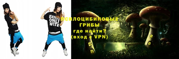 гидра Гвардейск