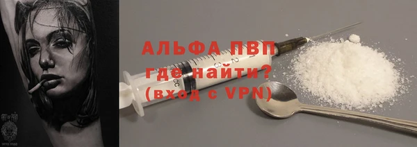 шишки Арсеньев