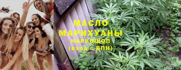 шишки Арсеньев