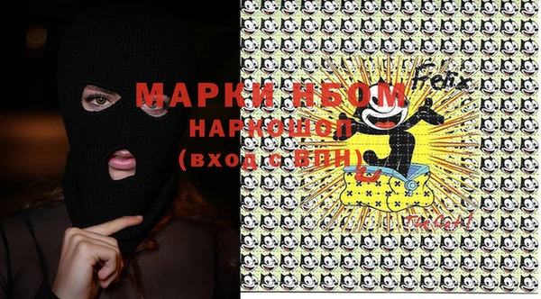 шишки Арсеньев