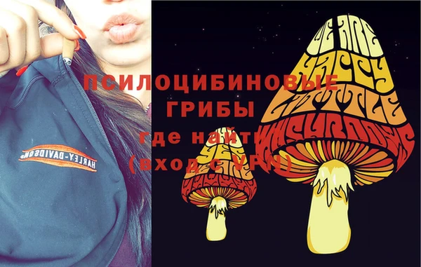 соль курить ск Армянск