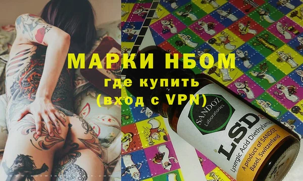 шишки Арсеньев