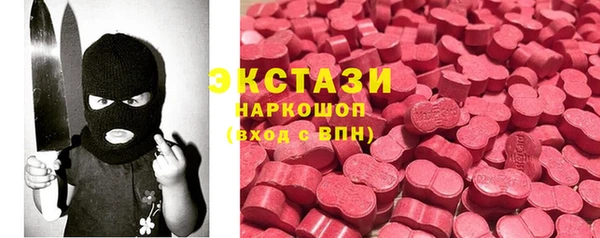 шишки Арсеньев
