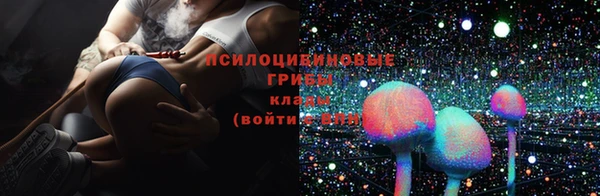 шишки Арсеньев