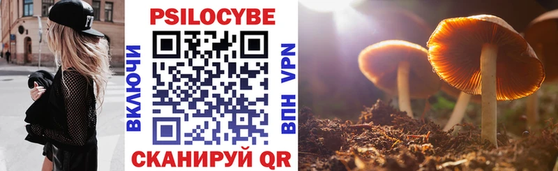 Галлюциногенные грибы мицелий  Карабулак 