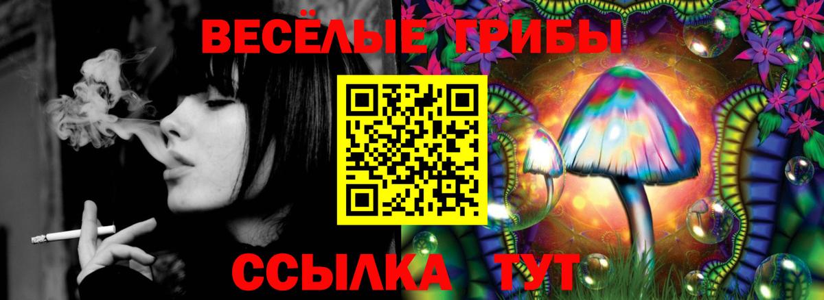 Карабулак  Галлюциногенные грибы мицелий  Вход с VPN 